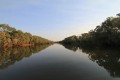 Calm, but crocodile-infested Mary River National Park