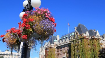 Flowers in Victoria, Vancouver Island, beautiful Canada