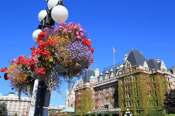 Flowers in Victoria, Vancouver Island, beautiful Canada