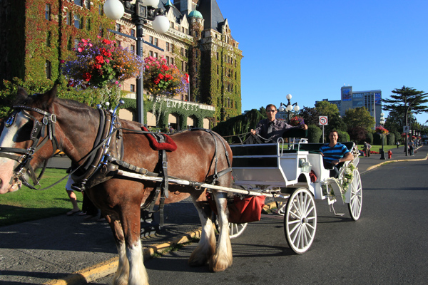 Horse carriage in Victoria, Vancouver Island, beautiful Canada