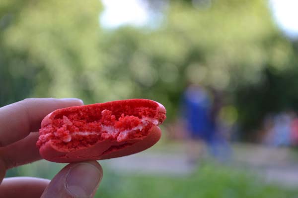 Moscow street food - Macaron in Gorky Park