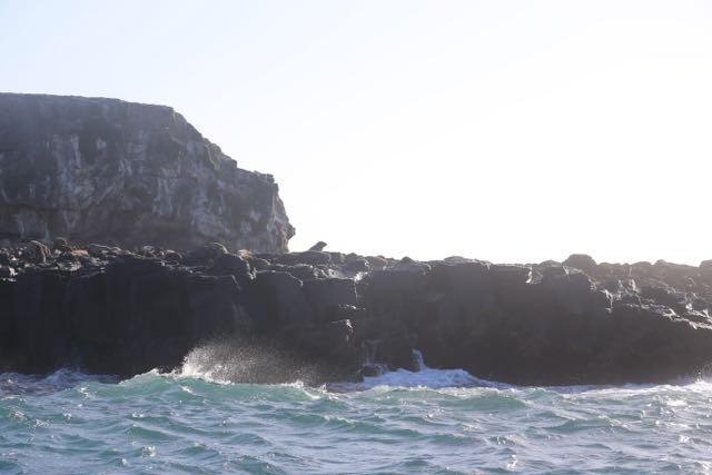 Phillip Island Adventure Cruise to Seal Rocks