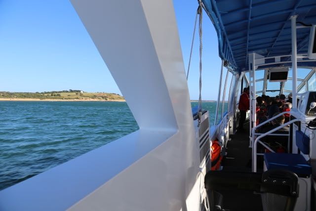 Phillip Island Adventure Cruise to Seal Rocks