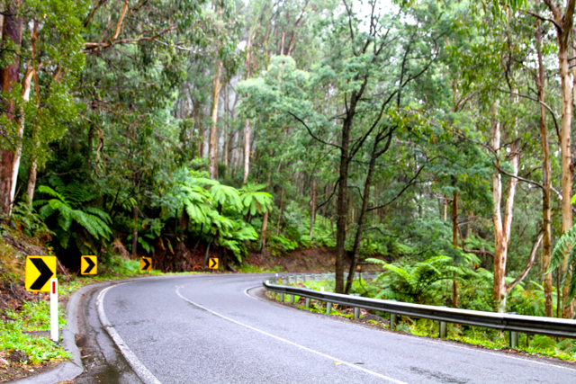 Drive through the Black Spur romantic weekend away