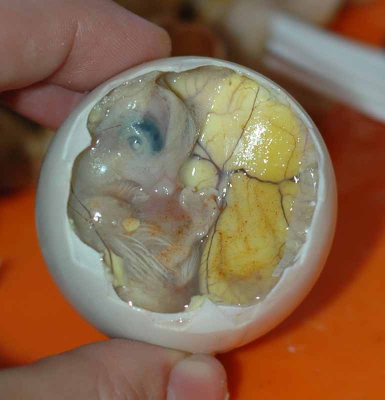 most challenging foods balut