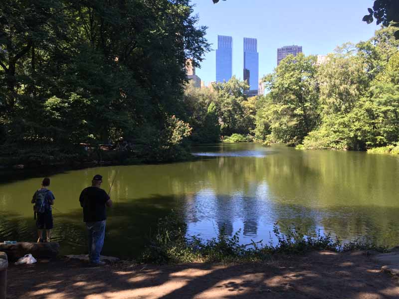 things to do in new york with kids central park