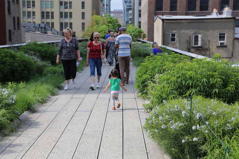 things to do in new york with kids high line