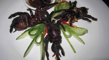 most challenging foods fried tarantula