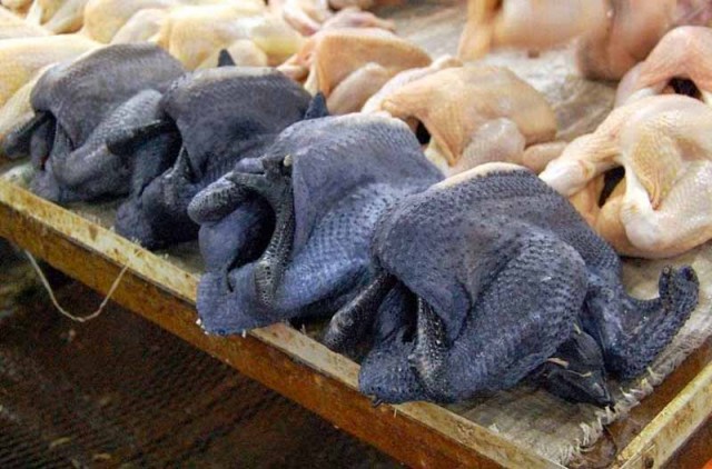 most expensive eats ayam cemani chicken
