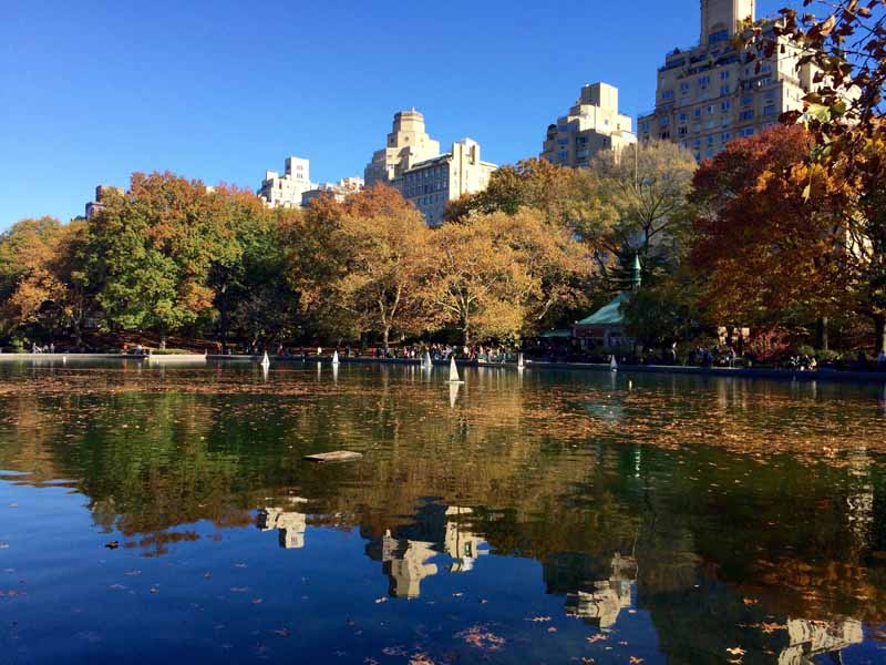 Central Park in Autumn - 8 of 16